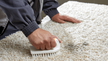 Professional Rug Cleaning Mordialloc